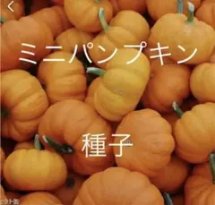 こへ様 リクエスト 2点 まとめ商品