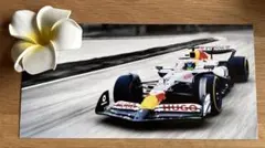 F1 レッドブル　レーシング　角田裕毅　MAX カード　TUDOR チューダー