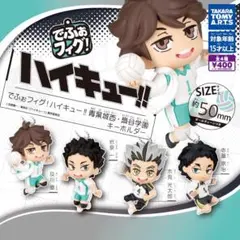 ハイキュー　青葉城西　及川徹/岩泉一