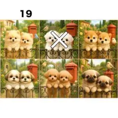 【19】りんご様パネル（ポメ・柴・シーズ・トイプ・パグ）