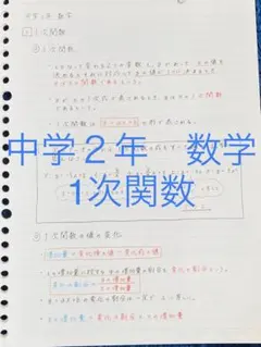 一間龍。様 リクエスト 6点 まとめ商品