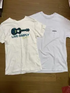 【人気】patagonia Tシャツ2枚セット