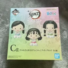 一番くじ 鬼滅の刃 思い出の蝶屋敷 すみ&きよ&なほ ちょこのっこフィギュア