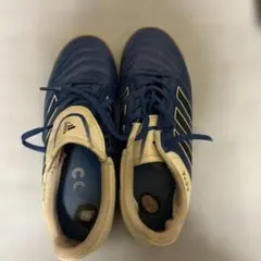 adidas 、プーマ青フットサルシューズ