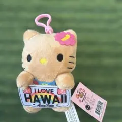 ハワイ 日焼けキティ キティ ハローキティー 限定 ぬいぐるみ 新品