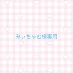 みぃちゃむ様専用ページ