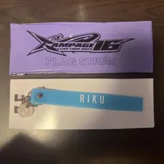 Item thumbnail for item 5f38315a-df20-4273-ab45-c086a1e1edb3