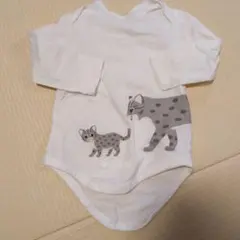 Item thumbnail for item cac60300-6a86-4580-bd06-966b312b87f9