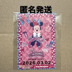 ミニーのファンダーランド　パルパルーザ　リゾートライン　フリーきっぷ　１枚　②