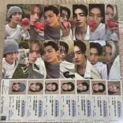 ENHYPEN THE SIN VANISH トレカ　コンプ⑨