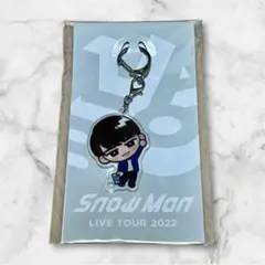 ★【新品・未使用】すのチル アクリルキーホルダー Snow Man 渡辺翔太