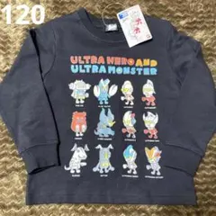 Item thumbnail for item 9c14df85-619a-4f16-954b-005d38793699