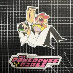 新品・送料込み 防水シール フレークシール パワーパフガールズ ユートニウム博士