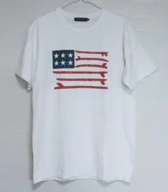 【ワンプライス/中古】半袖 Tシャツ アンティバルリスティック アメリカ国旗 白のサムネイル