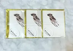 グラブル グランブルーファンタジー ラジエル 水着アクスタ