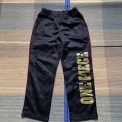 Item thumbnail for item 65490b9e-7e45-4c05-924e-0881cb26f40d