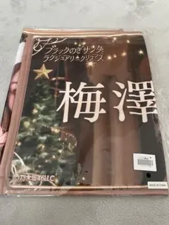 乃木坂46 岩本蓮加 のぎBOX S賞 タオル - メルカリ