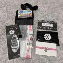EXO ペンミ exo cup チケットホルダー
