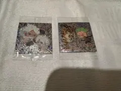 ワンピース ウエハース 13 シール ニカ ボニー シークレット　2枚セット