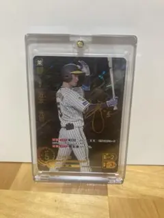ドリームオーダー 近本光司 SSP