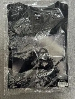 Yuzi様専用】B'z HINOTORI FINAL Tシャツ 黒 Lサイズ - メルカリ
