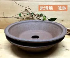 未使用/特価❕常滑焼/素焼き/植木鉢/2個組　　盆栽鉢/浅鉢/山野草鉢のサムネイル