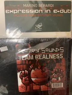 Floppy Sounds Team Realness 2枚セット harvey