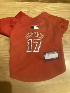 Item thumbnail for item e76f1693-a8c8-44ab-a8bf-aa9c4e87013a