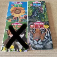 Item thumbnail for item 388029d1-096d-4493-b545-de7b70fefbf2