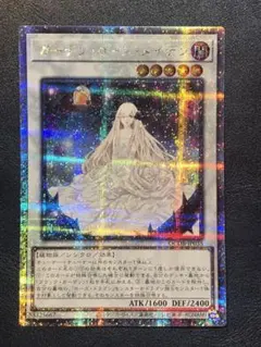 2025年最新】ガーデン・ローズ・メイデン 25thの人気アイテム