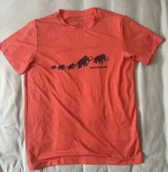 Item thumbnail for item cedd7368-eab6-42de-a88f-b087ccf9c07c