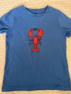 Item thumbnail for item b7d743fe-1b8b-405f-8e1b-d00813066e42