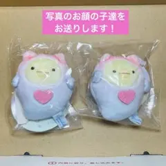 すみっコぐらし2023水族館限定　ぶらさげぬいぐるみ2個　ねこ　ウミウシ