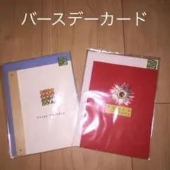【新品未使用】封筒付き 誕生日用　バースデーメッセージカード 2セット
