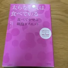 Item thumbnail for item 336b4522-2c82-49e9-b4c3-0d100b98f8df