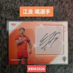 Item thumbnail for item a1c30e58-c836-4267-aca6-42a97dfe4b45