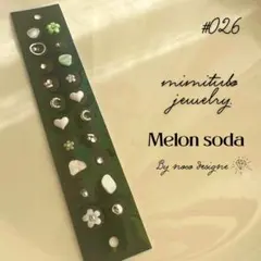 レオンちゃん様 リクエスト 3点 まとめ商品（質問への回答有り）