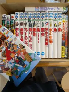 ☆図鑑DVDのみ 10枚セット 講談社の動く図鑑 MOVE 小学館の図鑑NEO