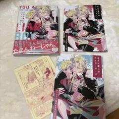 美品 アニメイト特典あり きみは愛しのライアーボーイ