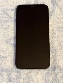 Apple iPhone 12 Pro 本体