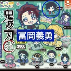 鬼滅の刃 冨岡義勇 キャラばんちょうこう ヘアクリップ　壱