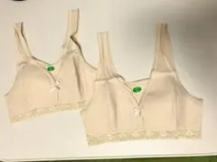 Item thumbnail for item 5a066a12-ec73-4c48-9bed-8cfeae81d1cb