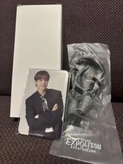 EXO EXhOrizon プレミアムシート アプグレ特典グッズセット＋銀テ