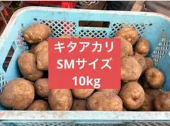 2026年最新】インカのめざめ 10kgの人気アイテム - メルカリ