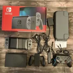 Nintendo Switch グレー 中古 ケース コントローラー付