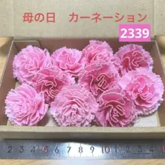 ソラフラワー　2339