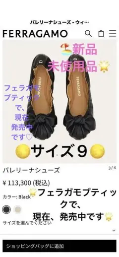 フェラガモFERRAGAMO バレエシューズ新品❣️定価113,300円円サイズ９のサムネイル