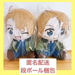 タイクレ限定　ヘタリア World★Stars　 BIGぬいぐるみ　アメリカ