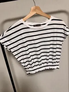 ストライプ クロップドTシャツ 半袖