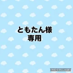ともたん様専用